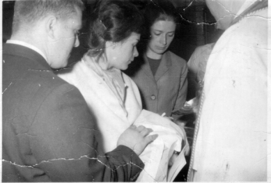 Birht.jpg (59974 bytes)